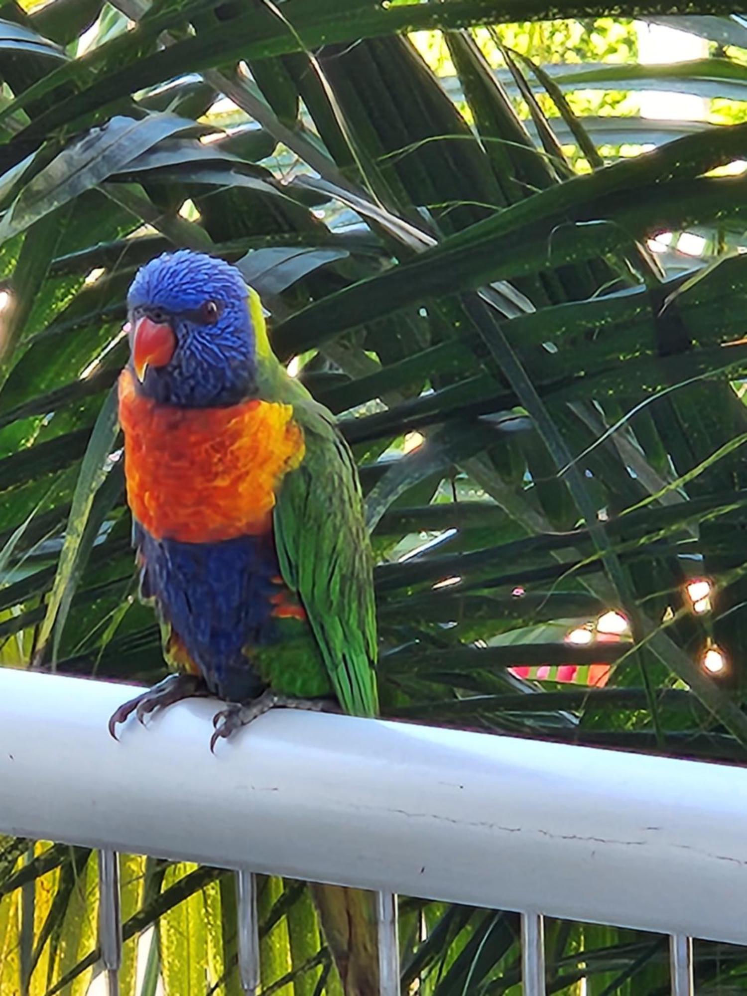 דירות 1213/146 Sooning Street, Nelly Bay, Magnetic Island. Qld 4819. One Bright Point. מראה חיצוני תמונה